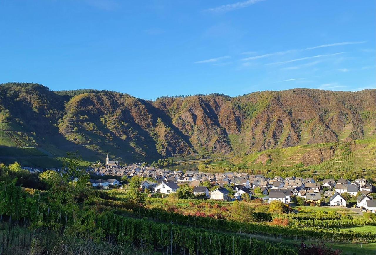 Attraktive Wohnung-Elztalidyll-Zwischen Mosel,Nuerburgring Und Burg Eltz Kollig Екстериор снимка